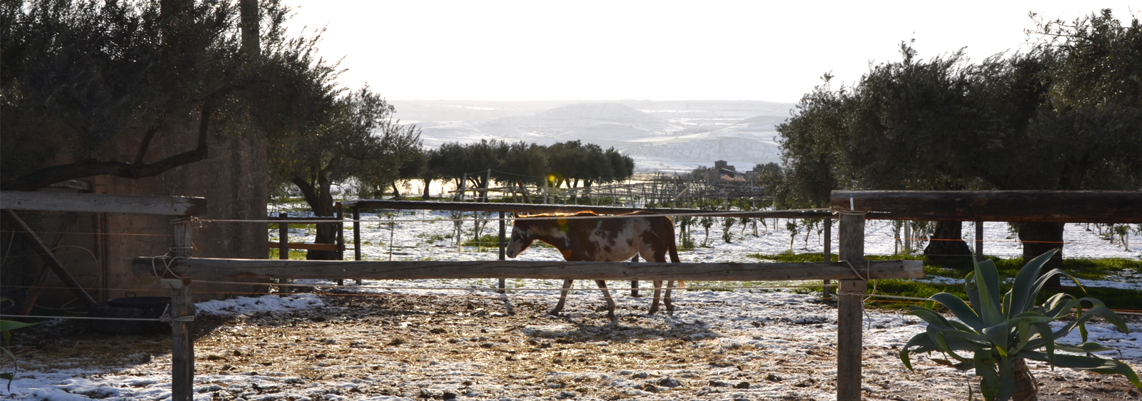 agriturismo terre di senia